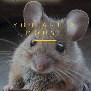 Meet your Posher, Nerdy